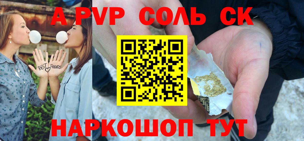 A PVP СК Электрогорск