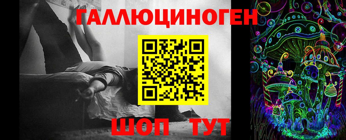 Электрогорск  Галлюциногенные грибы Psilocybine cubensis  Вход с VPN 